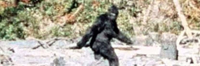 Blake La Grange banner