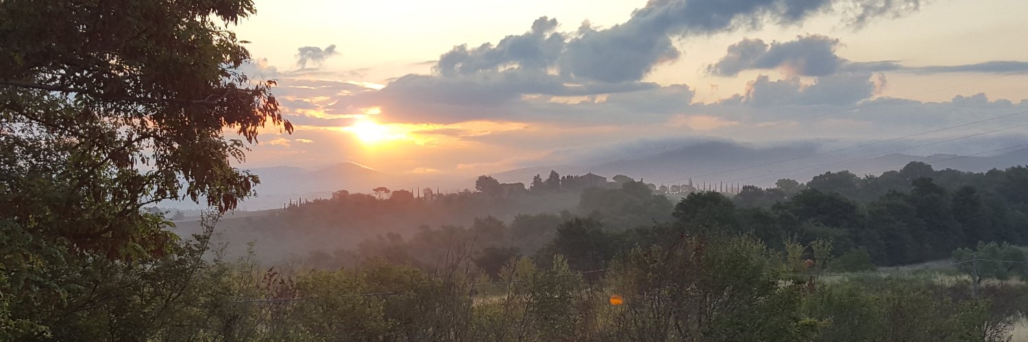 Koen Marichal banner