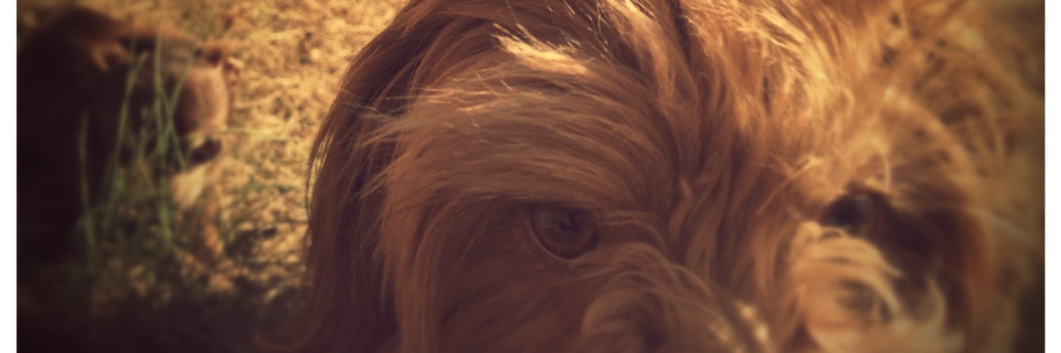 Charley Campbell banner