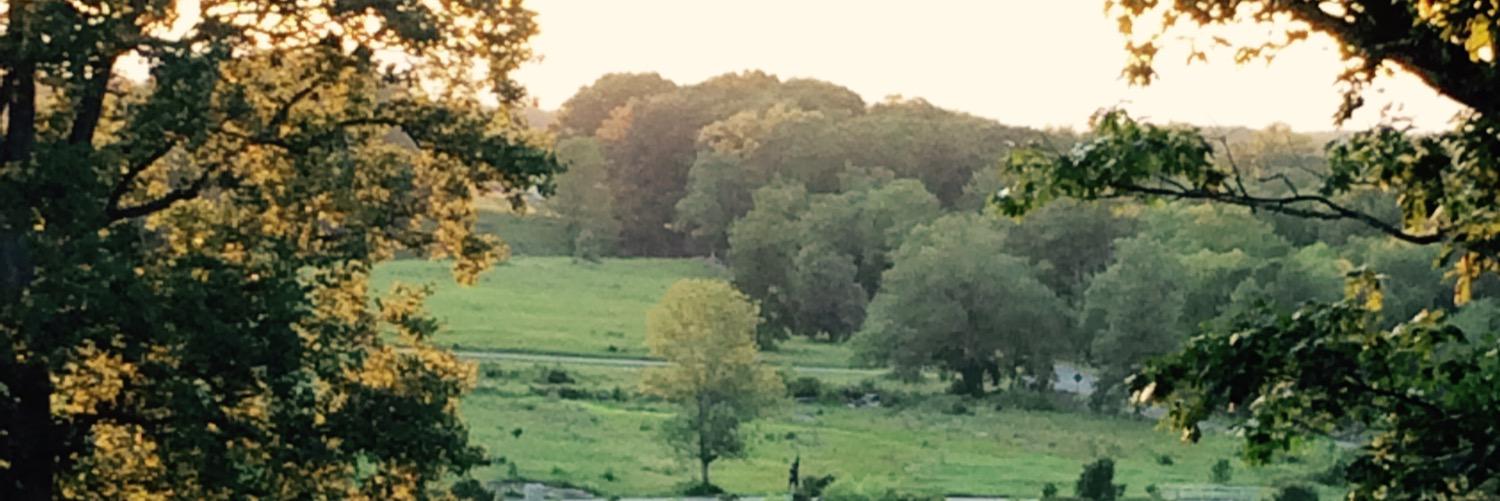 Teeech's profile banner image