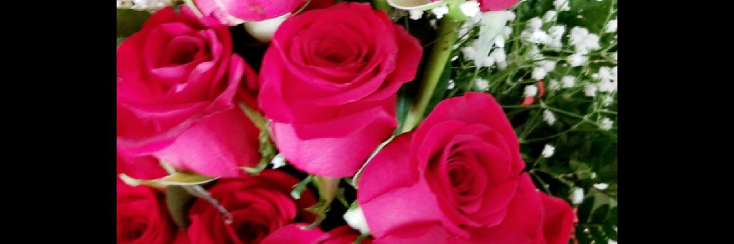Jeanette135's profile banner image