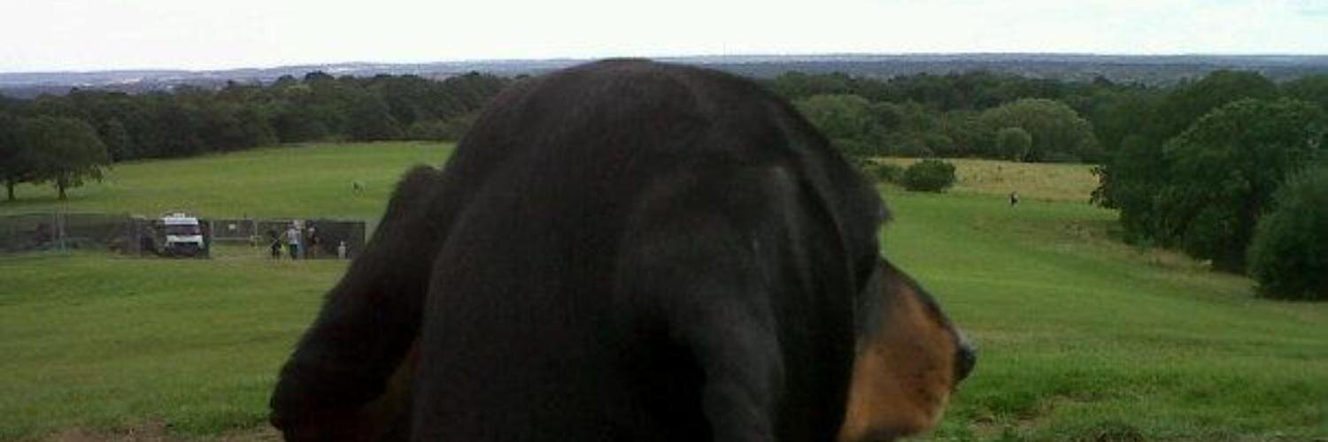 ClareQW's profile banner image