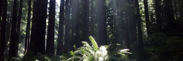 AndrosGarden Profile Banner