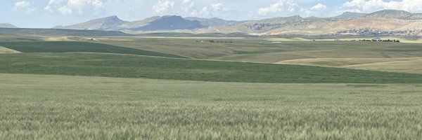 arcabari21 Profile Banner
