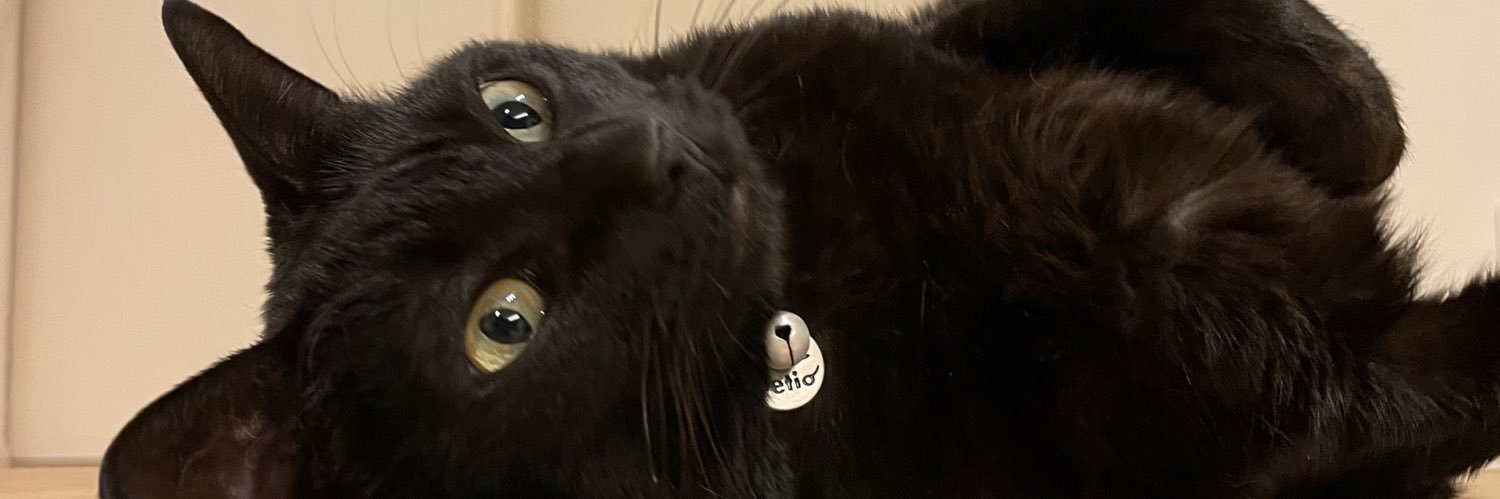 一平くん(愛媛FC非公認サポ） banner