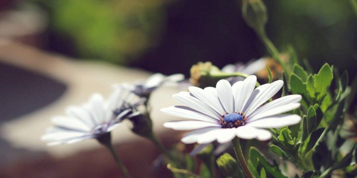 ale_bmg's profile banner image