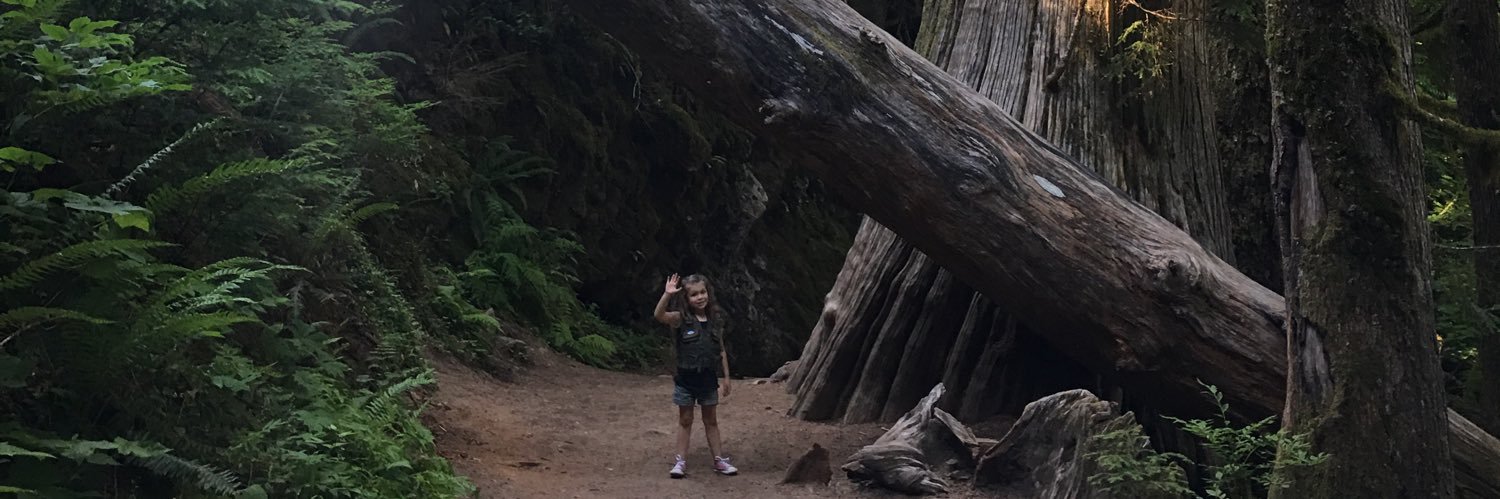 JenBrookman's profile banner image