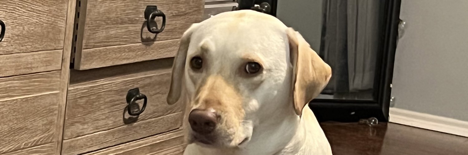 adamrazo's profile banner image