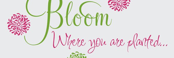 heidi__fulton's profile banner image
