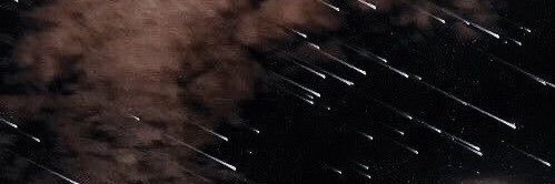 ladynoir enthusiast banner