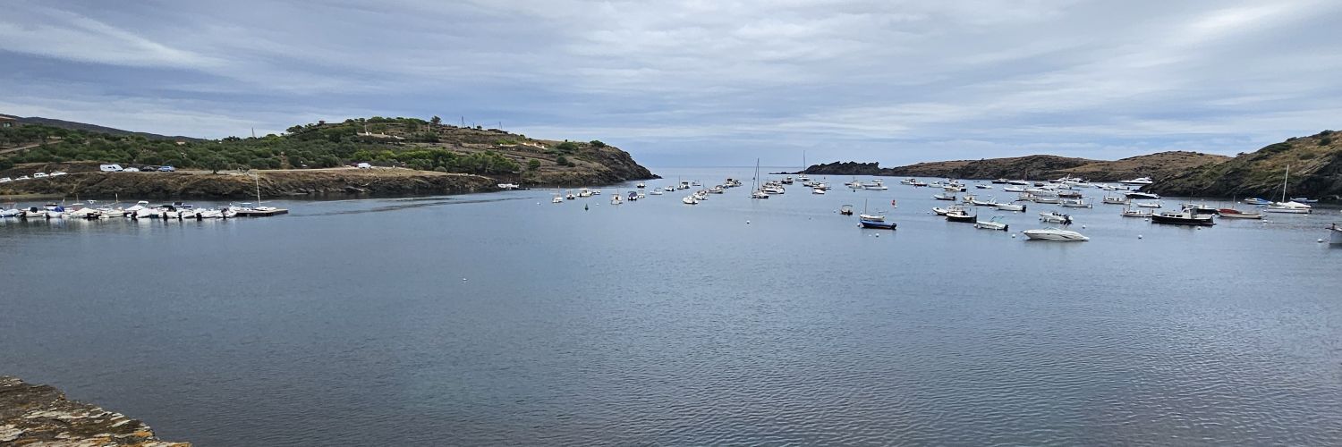 Pere Casellas Borrell banner