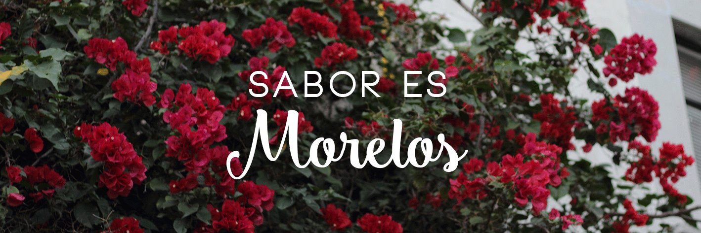 saboresmorelos's profile banner image