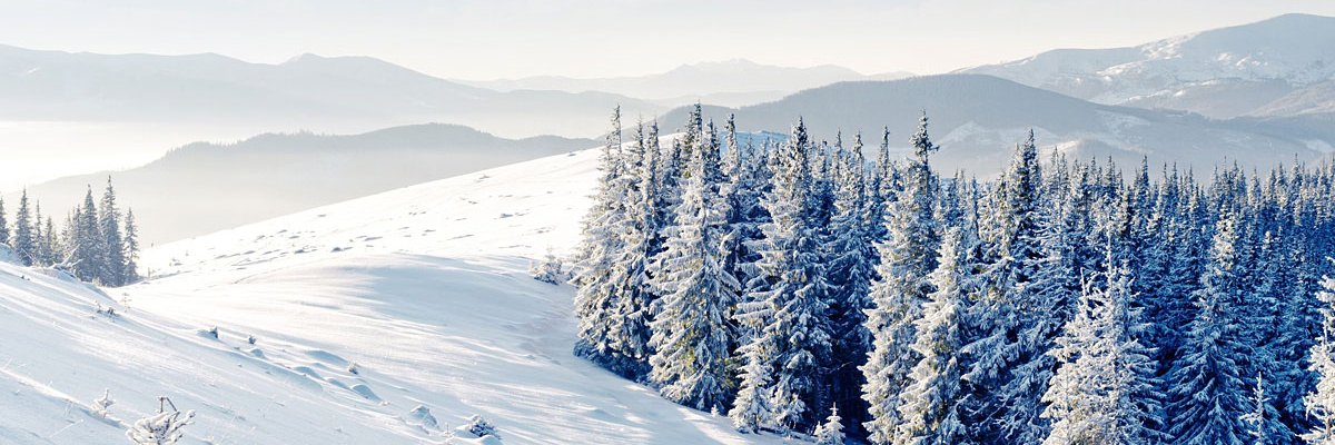 CJCampbell88's profile banner image