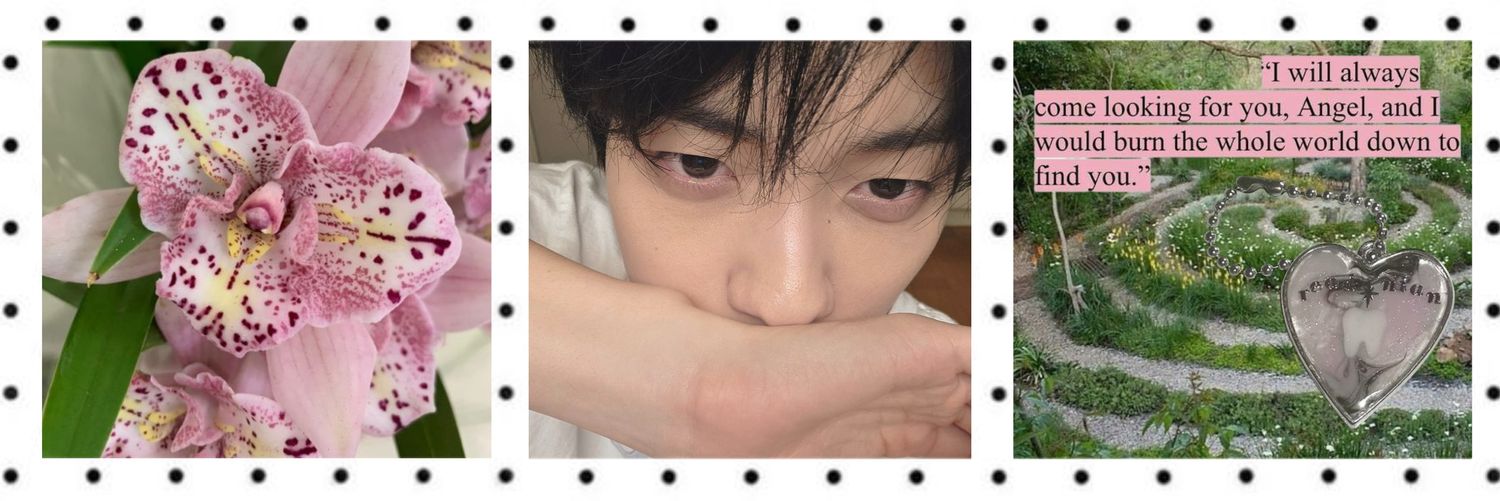 lulú, e ❤︎ banner