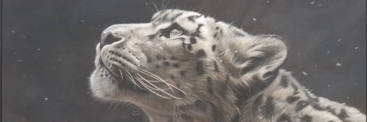 msgwentaylor's profile banner image