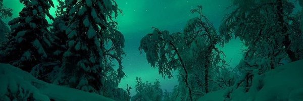 ribbonfic Profile Banner