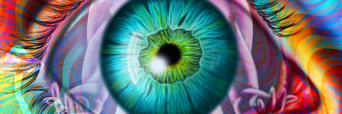amigosdivers's profile banner image