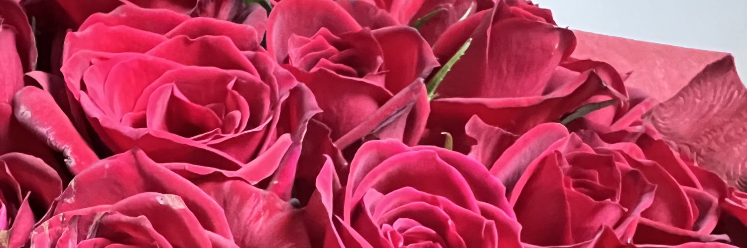 KmSail's profile banner image