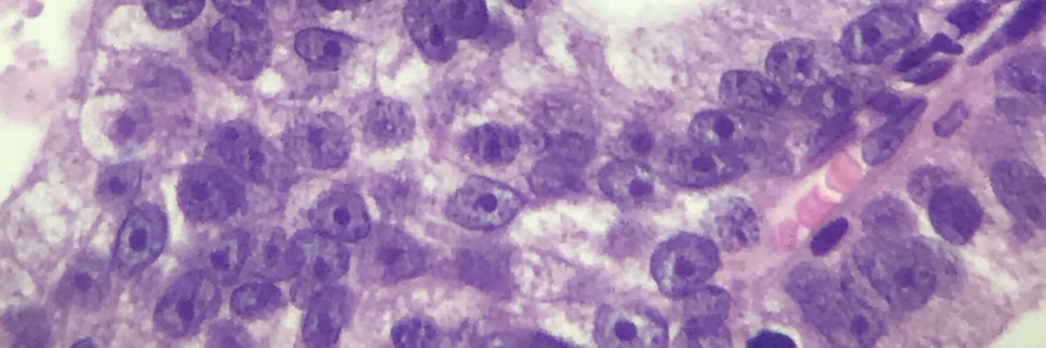 DJ_MDPATH's profile banner image