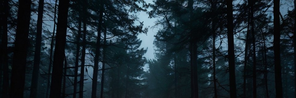 Andrew_Rakovski's profile banner image