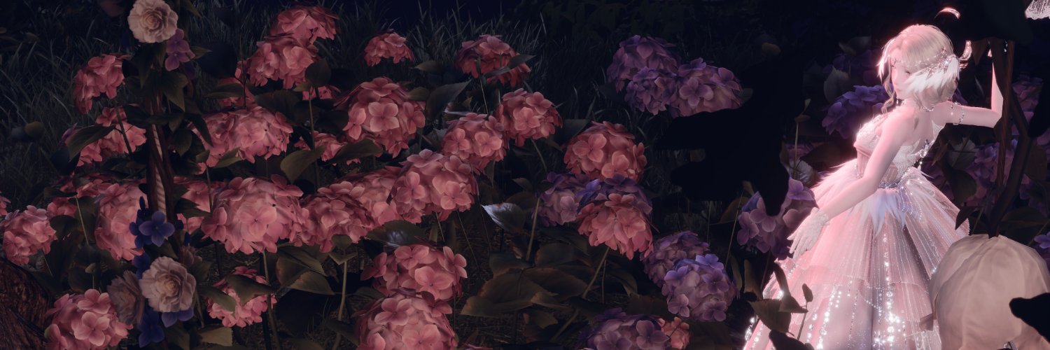 Romana | Gacha Player ꨄ banner