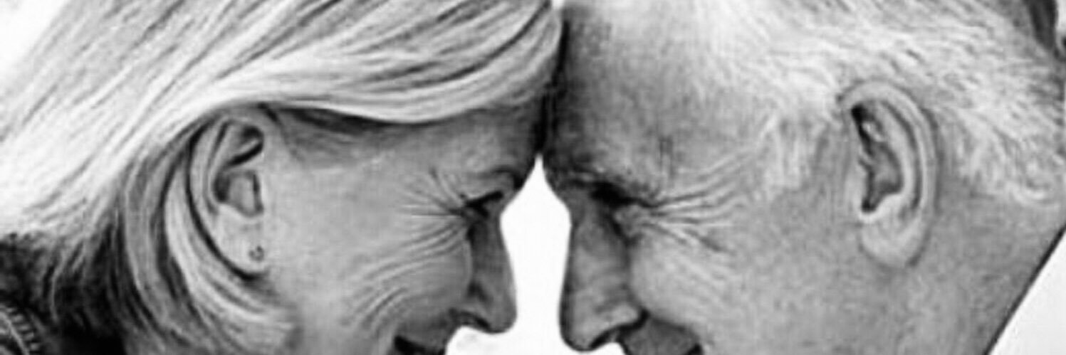 pnrksr's profile banner image