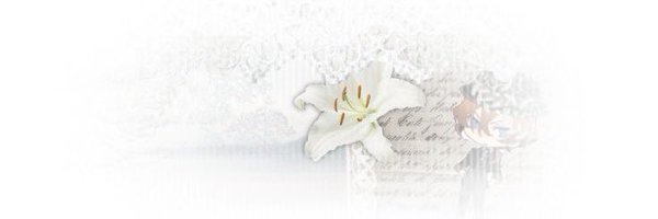 bcrningd3sire Profile Banner