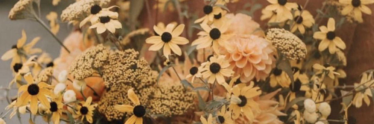 TaraIsisGerris's profile banner image