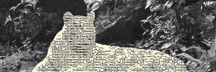 llovoty banner