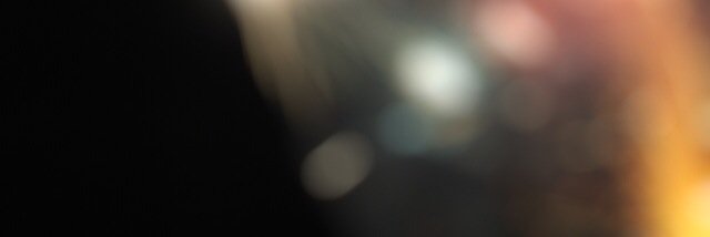 LizardLarry's profile banner image