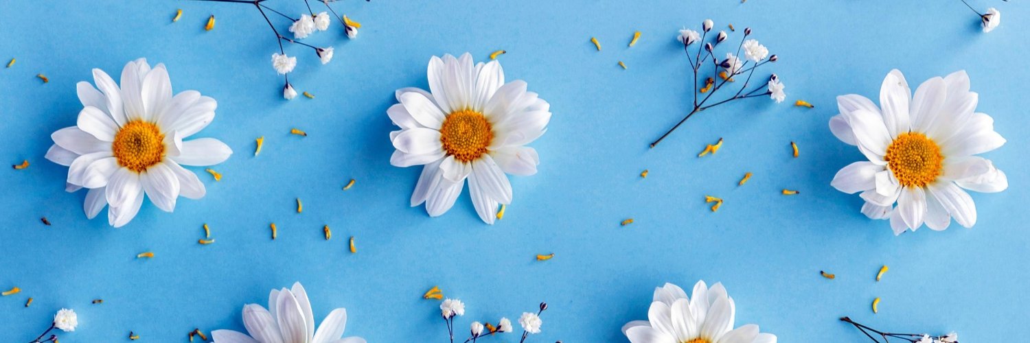 N60__'s profile banner image