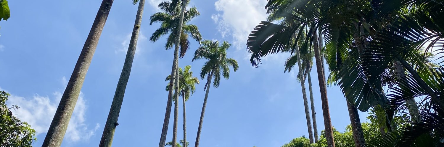 marrmusantee's profile banner image