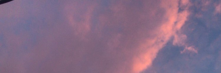 haiidogg's profile banner image