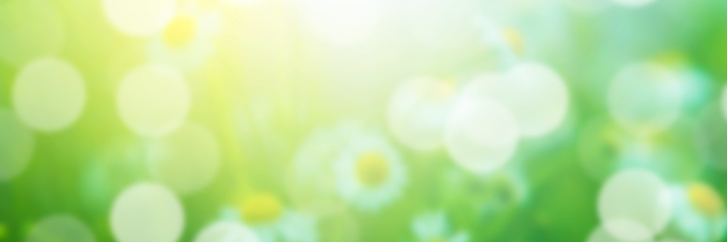 Sofia banner