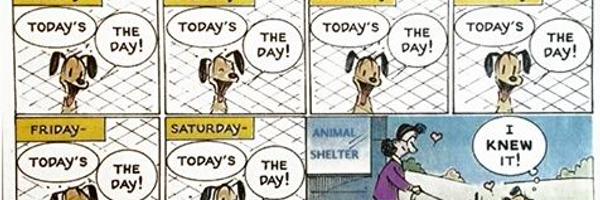 AnneMac10 Profile Banner