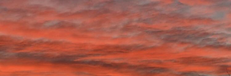 amarylisss's profile banner image