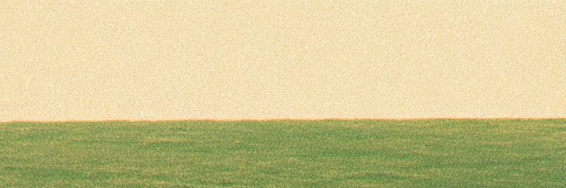77.7🥐 banner