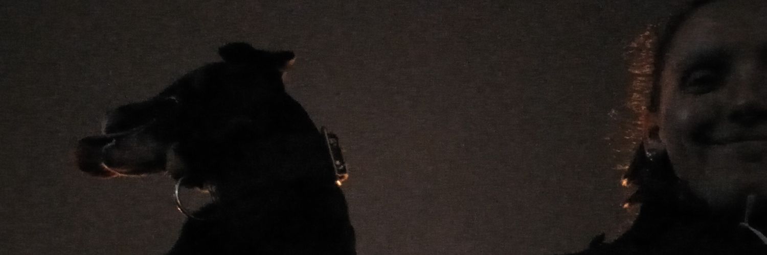 ArianaaR__'s profile banner image