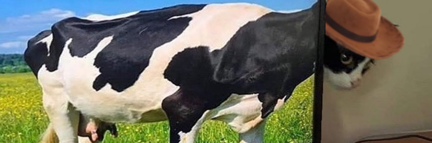 drlsmllr's profile banner image