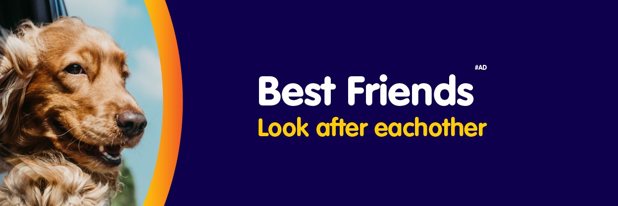 Pet Insurance banner