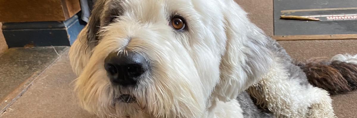 billyallingham's profile banner image