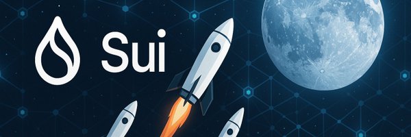 VisionarySUI Profile Banner