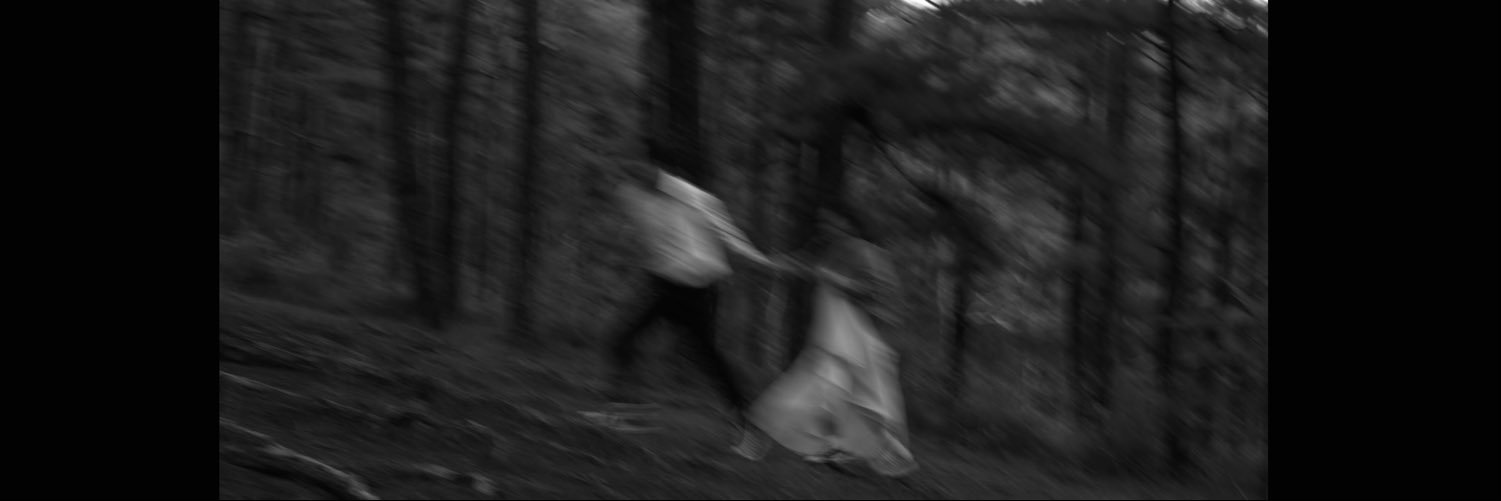 __froi's profile banner image