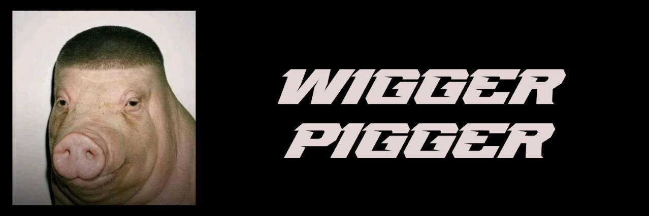 WiggerPigETH's profile banner image