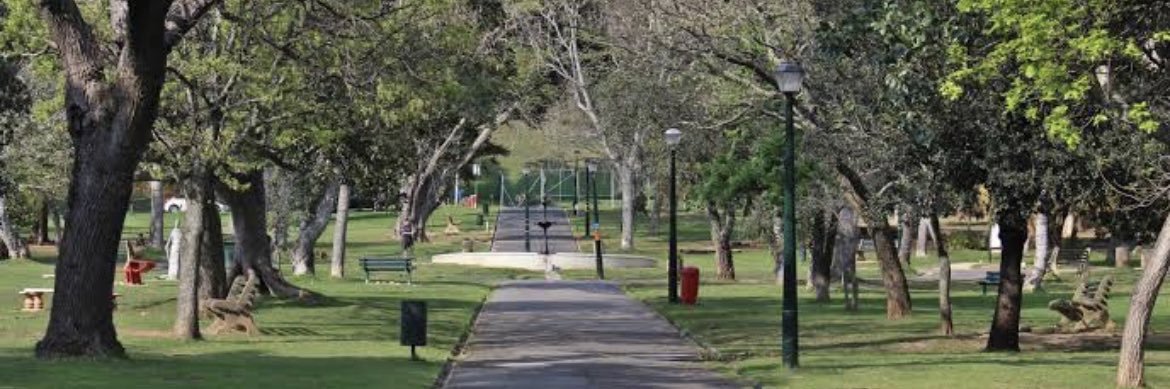 Concerts in the Park banner