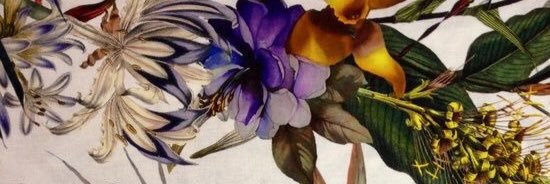 crisgaldesign's profile banner image