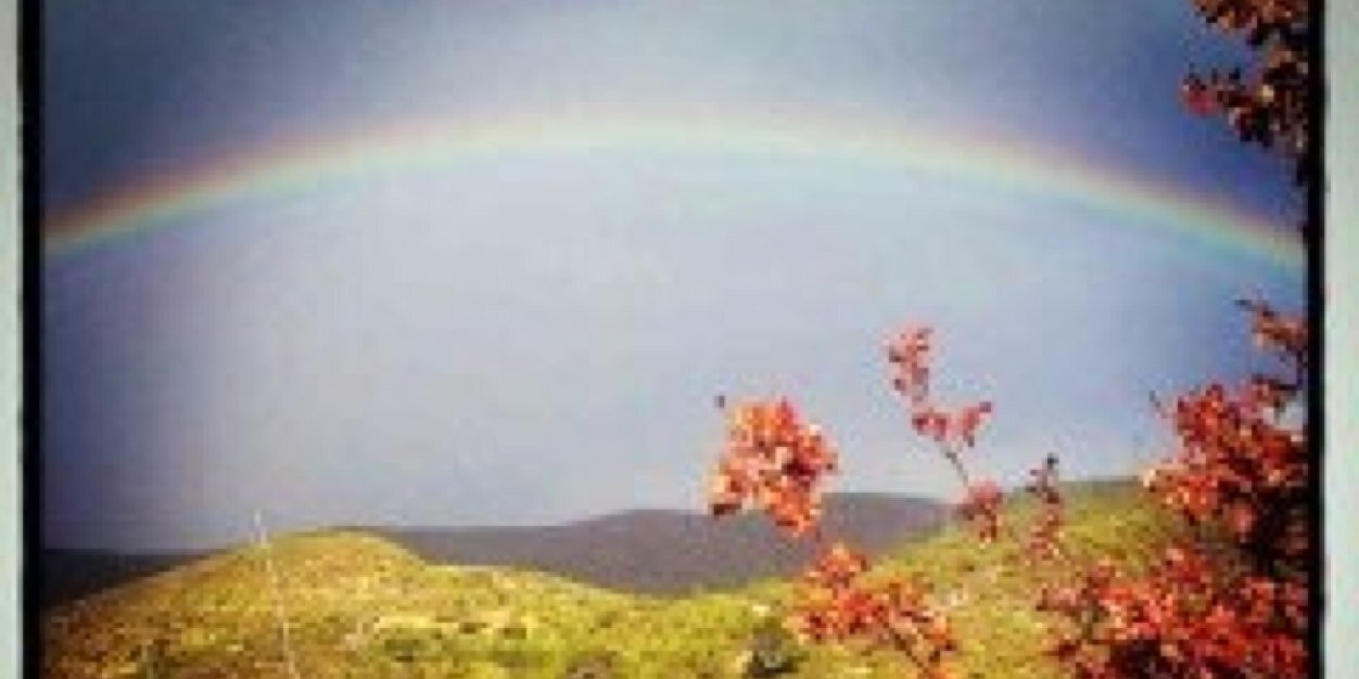 SILVIQUI2's profile banner image