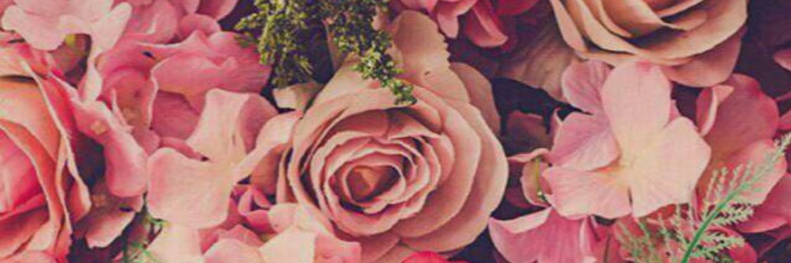 LSS_84's profile banner image
