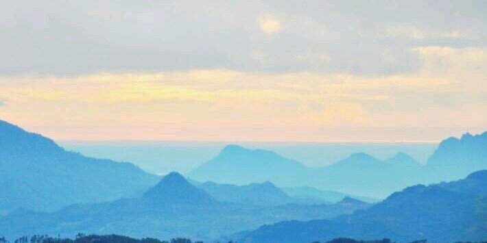 Dhammacamp's profile banner image