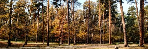 CappyMonkey's profile banner image